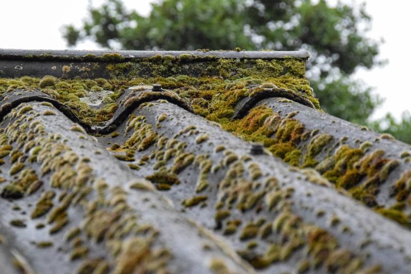 Peintre Façadier Couvreur à Versailles (78) : vos travaux de rénovation extérieure